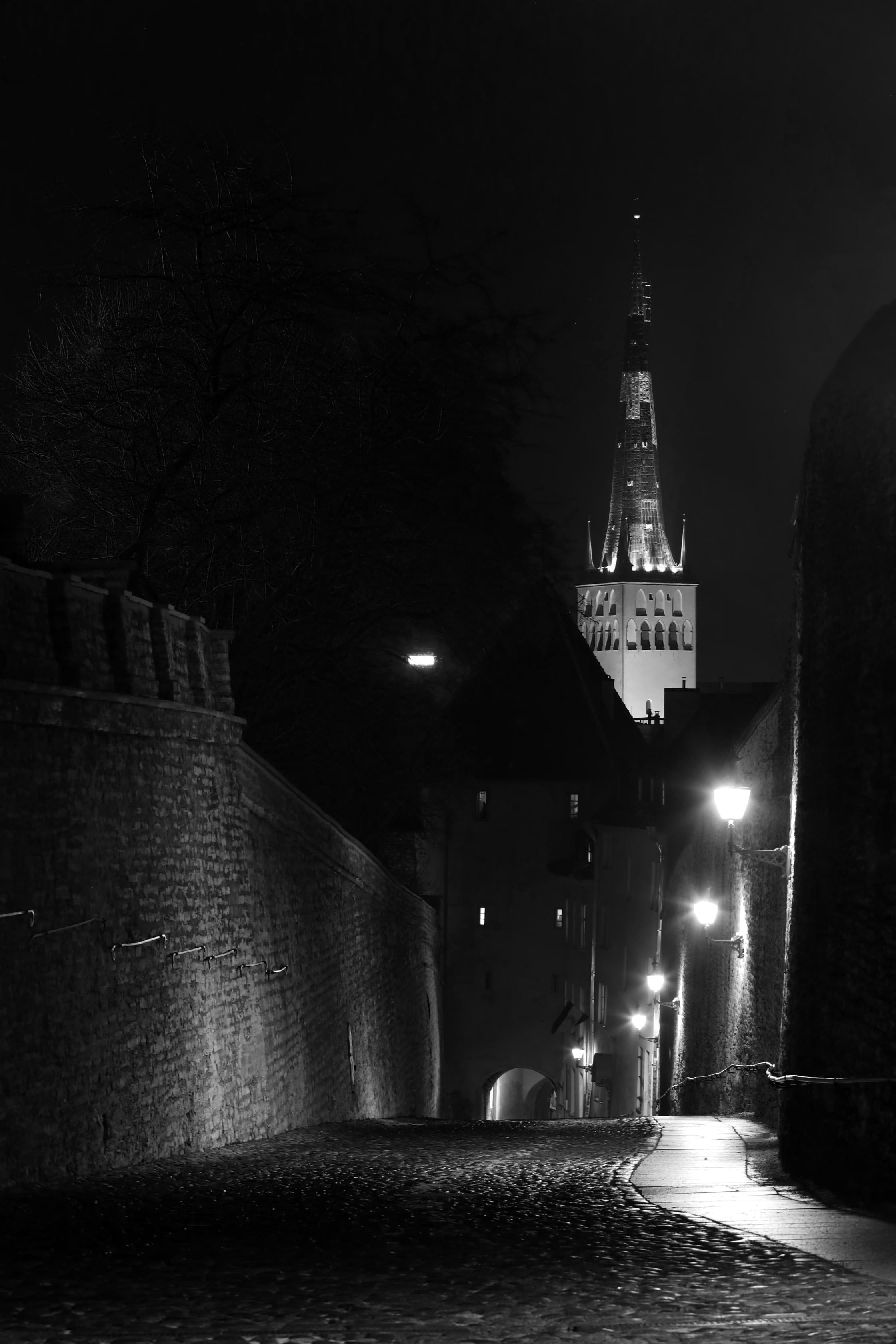 Banner Image 13
